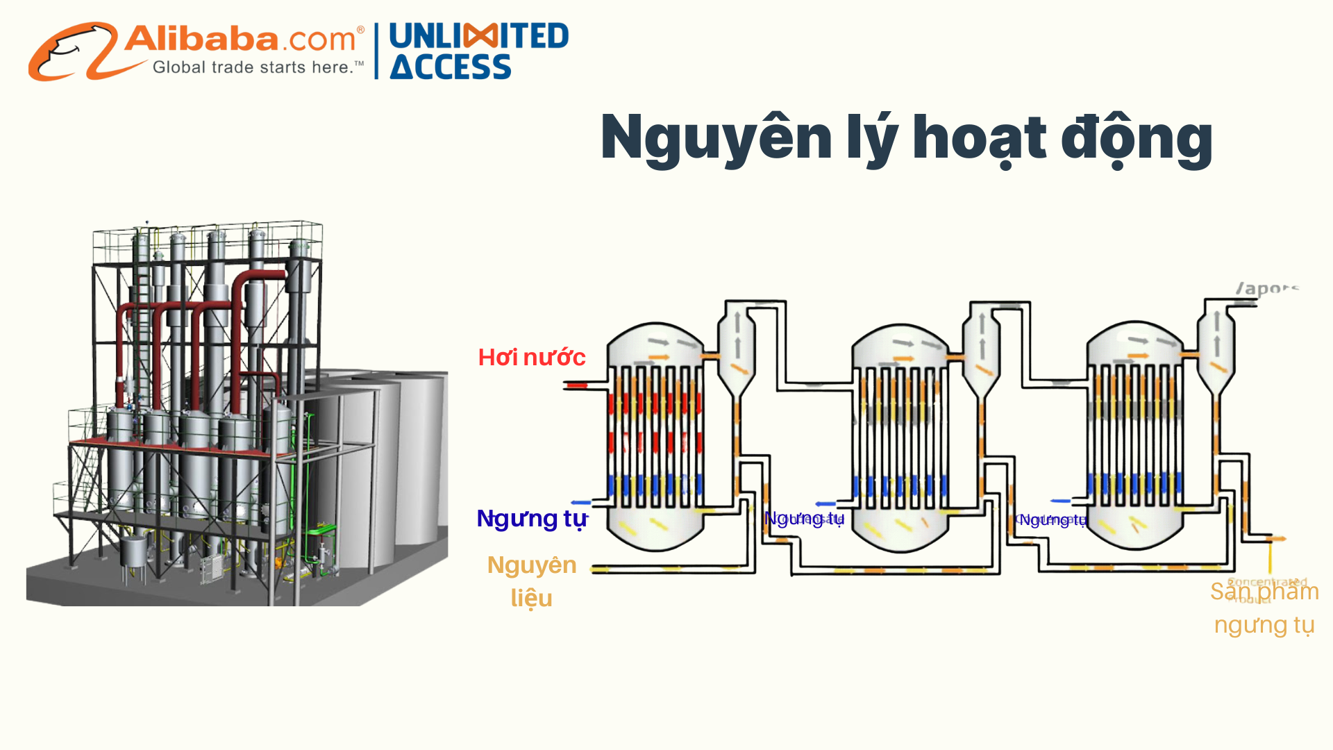 BỘ THIẾT BỊ BAY HƠI ĐA HIỆU ỨNG EVP