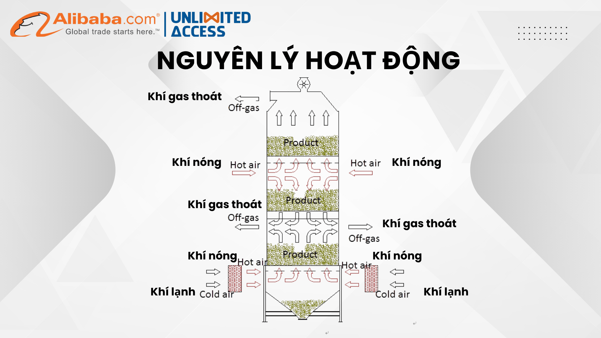 MÁY SẤY BĂNG LƯỚI