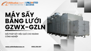 MÁY SẤY BĂNG LƯỚI